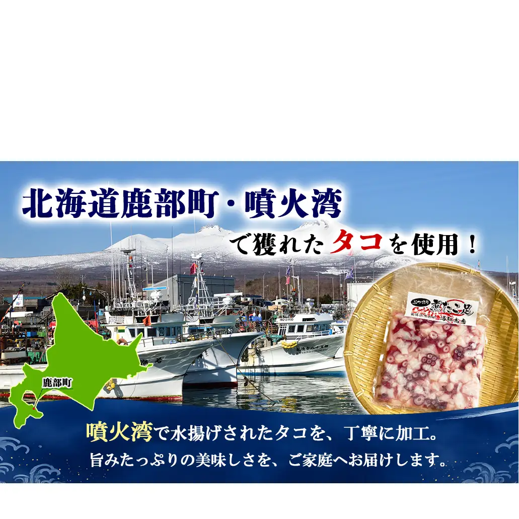 北海道産 ボイルタコ足 ぶつ切り 1.5kg(500g×3) ミズダコ ボイル済み 煮たこ足