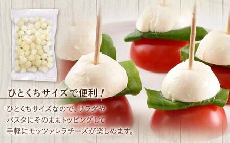 花畑牧場 モッツァレラチーズひとくちタイプ 約1kg【A107】 モッツァレラチーズ 北海道産