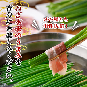 鉄板バル葱屋の ねぎしゃぶセット(3～4人前)ねぎしゃぶ しゃぶしゃぶ 豚肉 ぶた肉 ぶたにく お肉 鍋セット 乾麺 出汁 だし ポン酢 勝負めし【110700801】【葱屋おおくぼ】