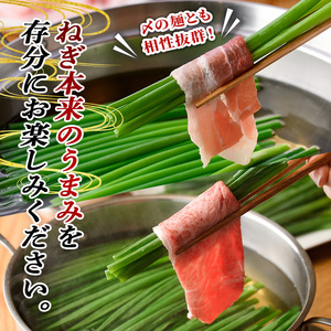 鉄板バル葱屋の ねぎしゃぶセット 豚・牛 食べ比べ (2～3人前) ねぎしゃぶ しゃぶしゃぶ 豚肉 ぶた肉 ぶたにく 牛肉 お肉 鍋セット 乾麺 出汁 だし ポン酢 勝負めし 【110700601】【葱屋おおくぼ】
