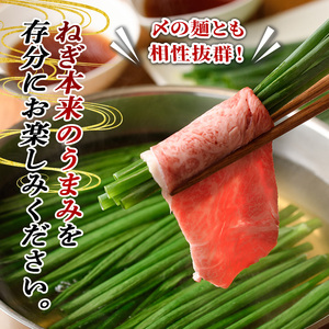 鉄板バル葱屋の ねぎしゃぶセット プレミアム (2～3人前) ねぎしゃぶ しゃぶしゃぶ 牛肉 お肉 鍋セット 乾麺 出汁 だし ポン酢 勝負めし 【110700701】【葱屋おおくぼ】