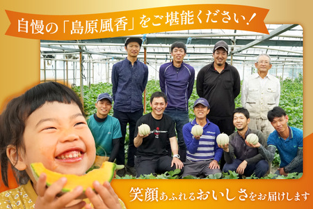 BD201【令和8年度出荷分】マルセイユメロン～島原風香～（3L×2玉） [長崎県 島原市] 