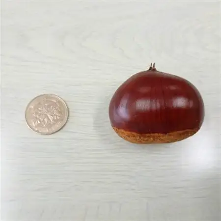 万羊羹飯沼MEIMEI 1箱(45g×3個入り)【配送不可地域：離島・沖縄県】【1631236】