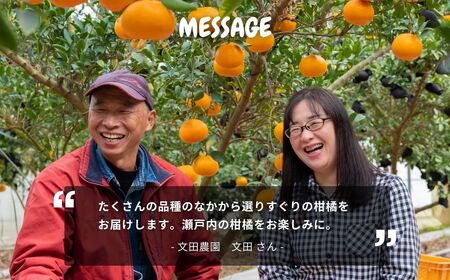 文田農園 の 柑橘 詰め合わせ 約5kg 7~8種 【2027年2月中旬発送開始】 