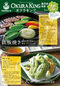 2026年7月上旬～発送 鹿児島県指宿市産オクラ｢オクラキング｣60本 やまげ IB140-001 オクラ