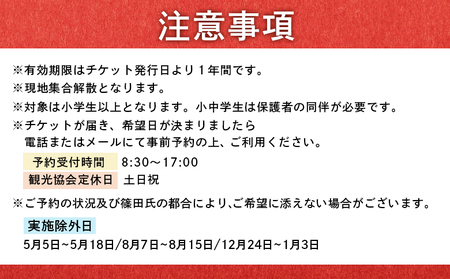 世界チャンピオンから教わるバルーンアート体験チケット(１組分)【3202601】