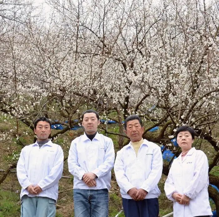 なかやまさんちの梅干 (850g×各1箱）うす塩味とかつお風味セット塩分5％
