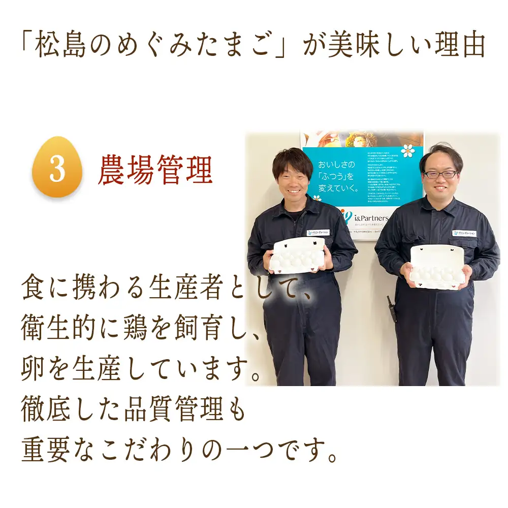 松島のめぐみたまご 20個入り 12ヵ月定期便 No.166
