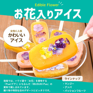 手作り たいやき10個 手作りアイスキャンディーエディブルフラワー入り 計12本セット たいやき絲や IB106-006 スイーツ スイーツ