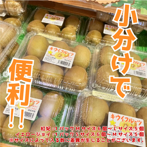 訳あり キウイフルーツ 食べ比べ 2.6kg 先行予約 2026年10月上旬～ キウイ