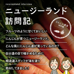 砂糖不使用 人参りんご 195g×15本 順造選｜にんじんジュース [0458]