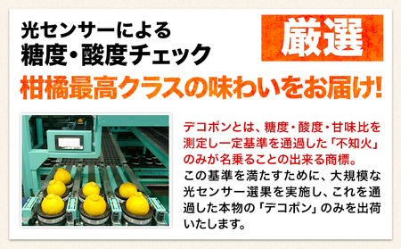 先行予約 デコポン 訳あり デコポン 約 2.5kg 前後(約12-24玉前後) 《3-7日以内に出荷予定(土日祝除く)》不知火と同品種 フルーツ 果物 みかん 柑橘
