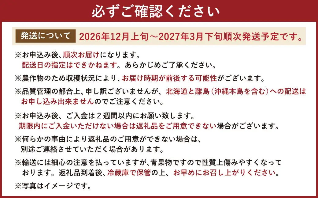福岡県産 あまおう ギフト箱 12-15粒 約300g いちご 苺 フルーツ 国産【2026年12月上旬～2027年3月下旬発送予定】
