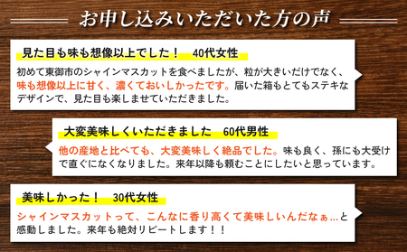【先行受付2026年発送】東御市産シャインマスカット2房【秋お届け】大粒 高評価 信州