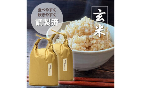福岡県産 元気つくし 玄米 10kg (5kg×2袋)[BGAF020]元気つくし