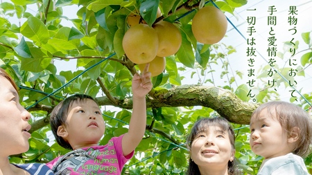 新高 約5kg（茨城県共通返礼品：かすみがうら市） [FF005sa]