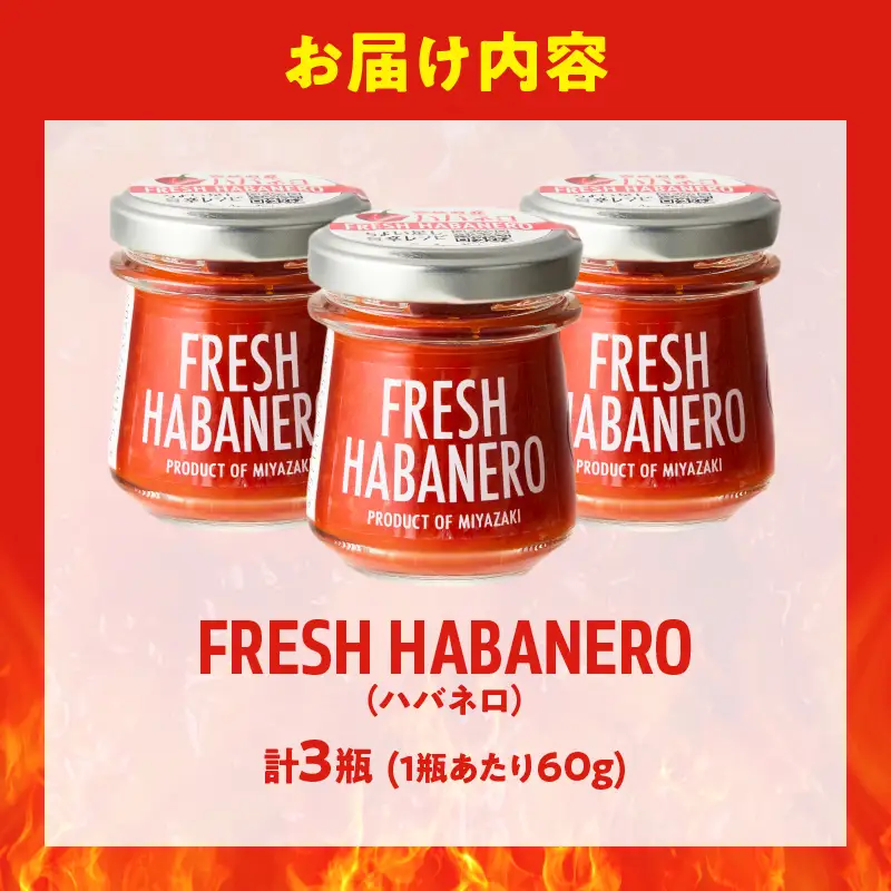FRESH HABANERO(ハバネロ)計3瓶 漬物 おかず 野菜 加工品 国産_T025-0485