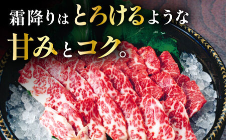こだわりの馬刺し 食べ比べ ブロック 計約300g 馬刺し醤油付き（赤身約150g×1ブロック，霜降り150g×1ブロック） 【フードサービス むらかみ】[ZFE003]