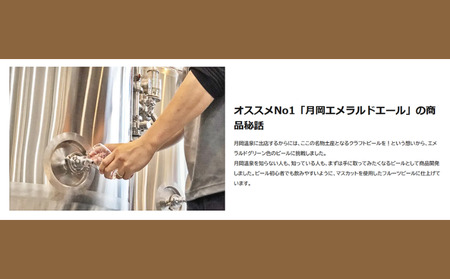  地ビール ＼クラフトビール 飲み比べ 6缶セット／  地ビール shinbo017