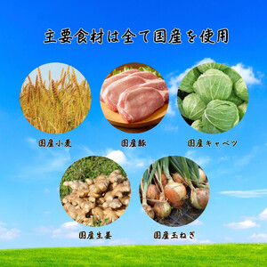 餃子 手包み生姜餃子 Sパック 12個入り 餃子屋はまだ