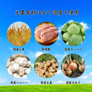 餃子 手包みにんにく餃子 Sパック 12個入り 餃子屋はまだ