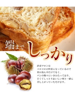 【累計7万斤完売！】 デニッシュ2本セット (やわた三色/栗)各1斤 食パン