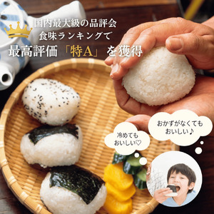 福井県産いちほまれ 米 5kg [B-187002] / 食品 ご飯 お米 白米 いちほまれ ブランド米 米 コメ こめ 精米 白米 5キロ 令和7年 令和七年 7年 七年 一等米