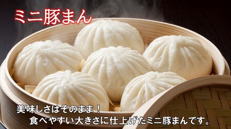 職人手作りの「おおいた和牛まん&特製豚まん&ミニ豚まん 贅沢食べ比べセット」_2564R