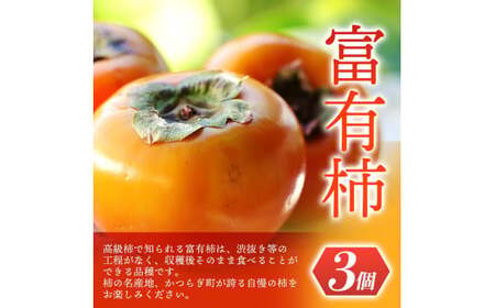 【先行予約】 道の駅くしがきの里セット 富有柿3個・温州みかん約30個の詰め合わせ こだわり農家厳選  【2026年11月上旬～12月中旬頃順次発送】/ みかん 温州みかん 柿 富有柿 かき 詰め合わせ 果物詰め合わせ 果物 フルーツ おやつ【kgr022】