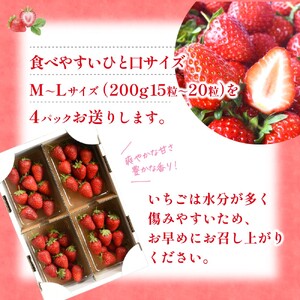 まりひめイチゴ4パック 食べやすいひと口サイズ M～L（15粒～20粒入×4パック）【2027年1月中旬～3月下旬頃に順次発送】【先行販売】いちご イチゴ 苺 まりひめ 果物 フルーツ 甘い 人気 おすすめ【BK-kgr034】