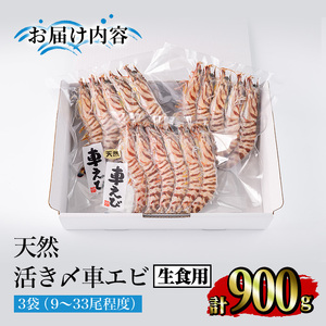 天然 活き〆車エビ 生食用 (計900g)  エビ 海老 車海老 車エビ 冷凍 刺身 さしみ 天ぷら 塩焼 バーベキュー 国産 大分県産 大分県 鶴見食賓館 【opad008】【鶴見食賓館】