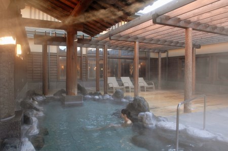 ふじやま温泉 ペア ご招待券 お風呂 サウナ 日帰り 入浴 2枚組 チケット 優待 ギフト券 富士山 旅行 富士急ハイランド 天然温泉 