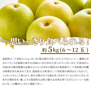 DS-02　二十世紀梨 5kg