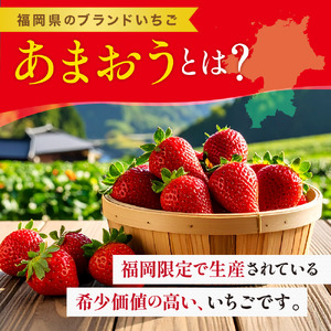 【1月上旬以降順次発送予定】博多あまおう 計約560g｜ONE GO あまおう as45-001