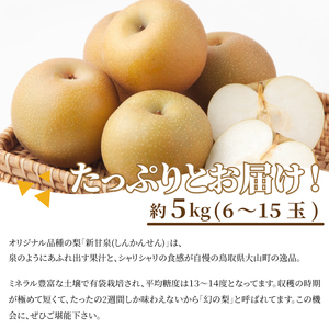 【先行予約】DS-03　新甘泉梨（５ｋｇ）