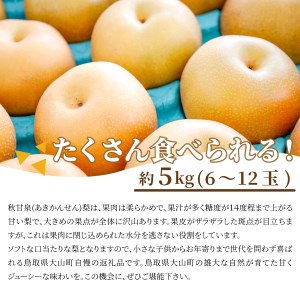 DS-04　秋甘泉梨（５ｋｇ）