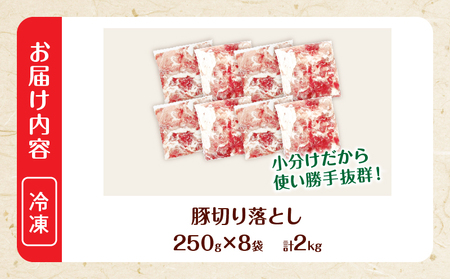 大人気 生冷凍 厳選 豚切り落とし 計2kg_BB173-26-2W
