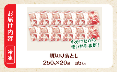 大人気 生冷凍 厳選 豚切り落とし 計5kg_DB45-26-2W