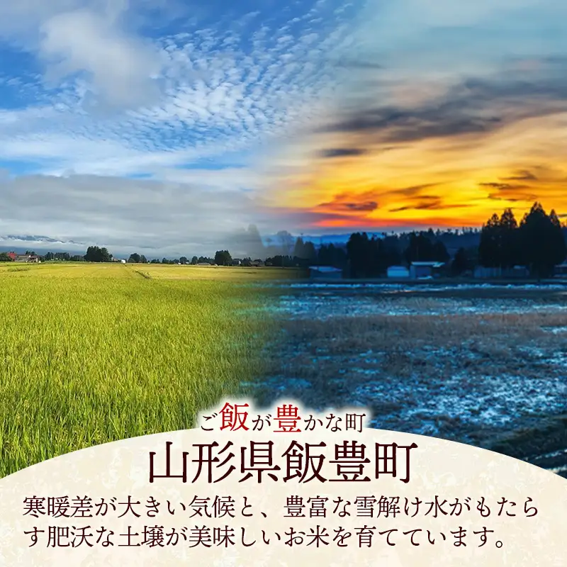 飯豊町産 はえぬき 白米 10kg (R7年産） - 数量限定 おこめ 米 ごはん もっちり 粒ぞろい 粘り 単一米 銘柄 ブランド米 おすすめ 送料無料 マルシチ米穀 山形県 飯豊町【価格改定XA】