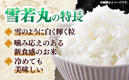 マイスターがつくる つや姫・雪若丸 食べ比べセット 10kg （各5kgずつ）令和7年産 - 山形県 飯豊町産 米 精米 銘柄 ブランド米 林七【価格改定】