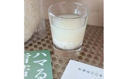 飯豊の生あまさけ 600g 10本セット【冷凍発送】 - 甘酒 米麹 砂糖不使用 ノンアルコール ノンシュガー あまざけ 発酵食品 栄養豊富 菌が生きてる 非加熱 腸活 おすすめ 送料無料 マルシチ米穀 山形県 飯豊町