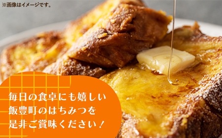 純粋はちみつ チューブ入り 2本セット（アカシア・とち）山形県飯豊町産蜂蜜 - 国産 蜂蜜 食べ比べ 山形県 飯豊町 佐藤養蜂