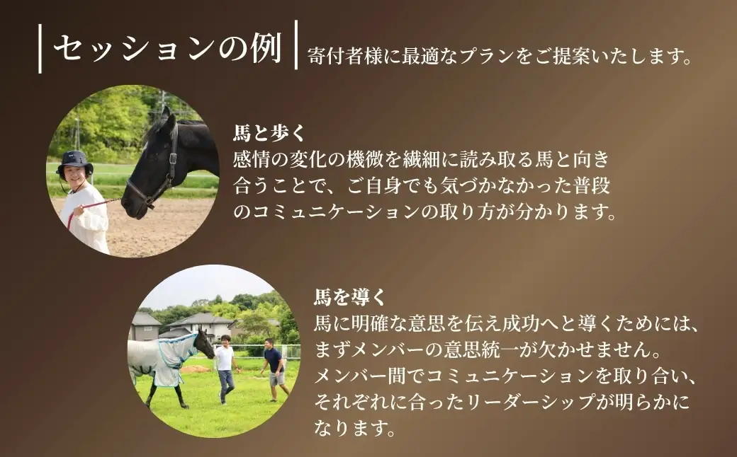 ホースミラーリングセッション 1名様 ｜ 乗馬 福島県 南相馬市