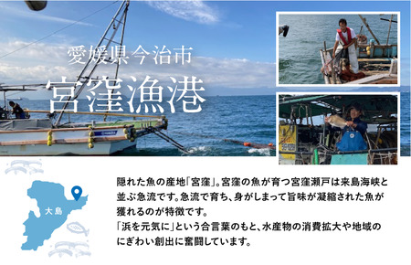宮窪のブランド魚「10ノット真鯛」の西京漬け 冷凍真空包装450g×2枚【V002760】