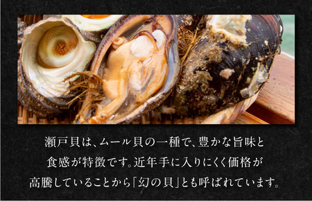 幻の貝「瀬戸貝」と高級サザエ【瀬戸貝3～4個（約1kg）・サザエ4～5個（約1kg）】【V002770】