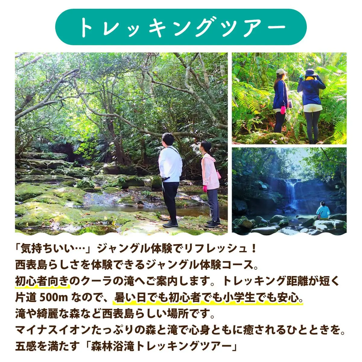 西表島 半日森林浴滝トレッキングツアー 大人1名分