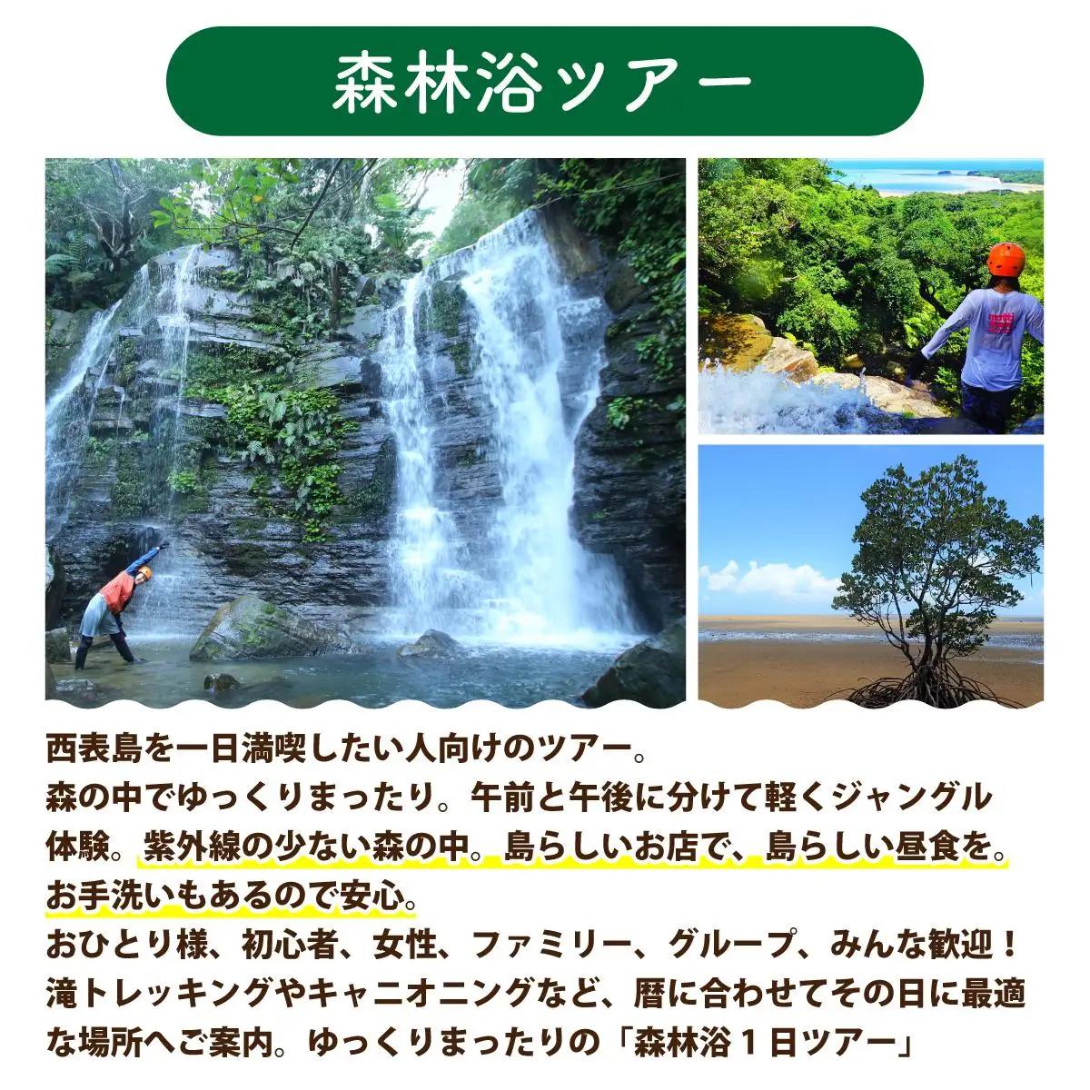 西表島 森林浴1日ツアー 大人1名分