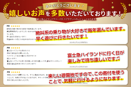 富士急ハイランド ワンデイパス ペアチケット【 遊園地 テーマパーク