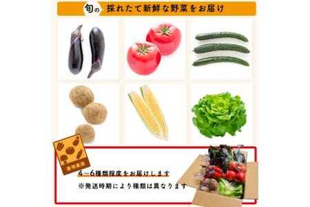 【期間限定】尾瀬の郷　野菜セット