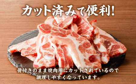 鹿児島県産 骨付き 豚 カルビ ！ K151-004 肉 豚肉 冷凍